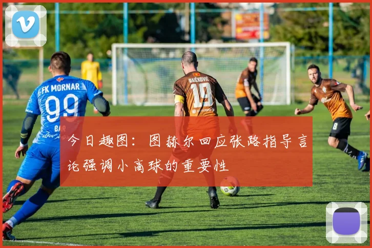 今日趣图：图赫尔回应张路指导言论强调小高球的重要性